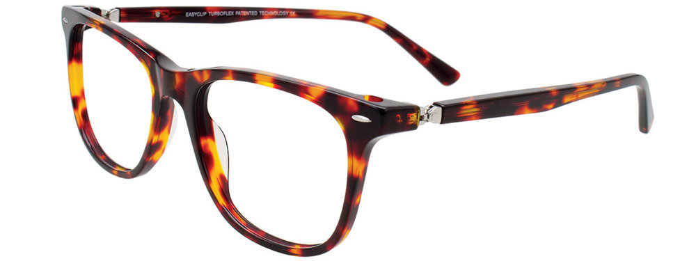 Picture of Easyclip Eyeglasses EC670