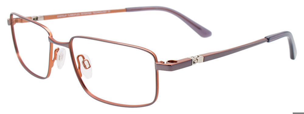 Picture of Easyclip Eyeglasses EC622