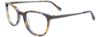 Picture of Easyclip Eyeglasses EC525
