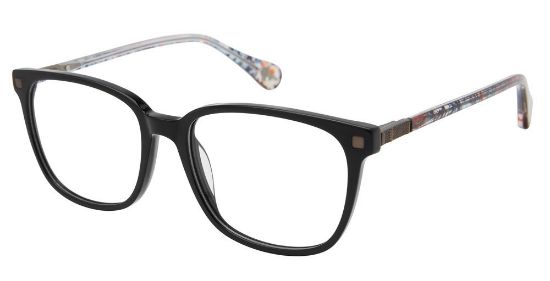 Picture of Robert Graham Eyeglasses TRITON