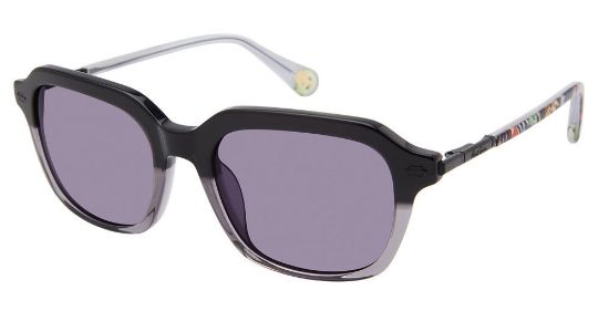 Picture of Robert Graham Sunglasses DARRIO