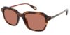 Picture of Robert Graham Sunglasses DARRIO
