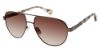 Picture of Robert Graham Sunglasses SERGIO