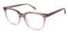 Picture of Wildflower Eyeglasses OLEANDER