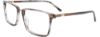 Picture of Easytwist Eyeglasses ET9008