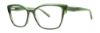 Picture of Vera Wang Eyeglasses V718