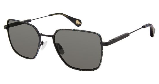 Picture of Robert Graham Sunglasses LLOYD