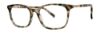 Picture of Vera Wang Eyeglasses V719