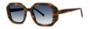 Picture of Paradigm Sunglasses Kai