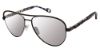 Picture of True Religion Sunwear Sunglasses TRU T3000