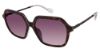 Picture of True Religion Sunwear Sunglasses TRU T3002