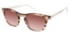 Picture of True Religion Sunwear Sunglasses TRU T3005