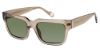 Picture of True Religion Sunwear Sunglasses TRU T5006
