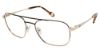 Picture of True Religion Eyeglasses TRU T4001
