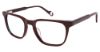 Picture of True Religion Eyeglasses TRU T4006