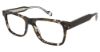 Picture of True Religion Eyeglasses TRU T4011