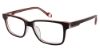 Picture of True Religion Eyeglasses TRU T4013