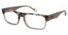 Picture of True Religion Eyeglasses TRU T4017