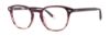 Picture of Penguin Eyeglasses THE FURR