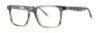 Picture of Penguin Eyeglasses THE HIGGS