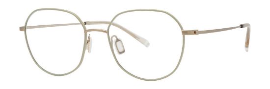 Picture of Paradigm Eyeglasses CAREY