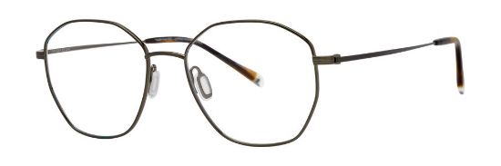 Picture of Paradigm Eyeglasses FRANKIE