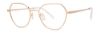 Picture of Paradigm Eyeglasses REMY