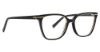 Picture of Trina Turk Eyeglasses Franca