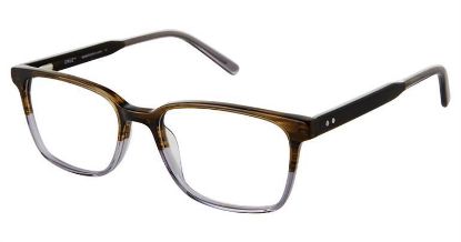 Picture of Cruz Eyeglasses Bellevue Ave