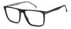 Picture of Carrera Eyeglasses 319