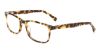 Picture of Gap Eyeglasses VGP028