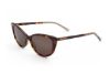 Picture of Jimmy Choo Sunglasses NADIA/S