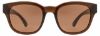 Picture of INVU Sunglasses INVU-141