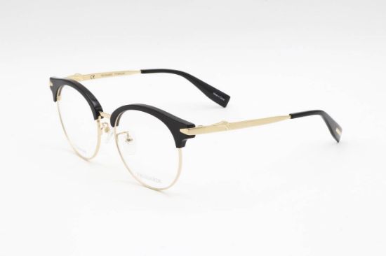 Picture of Trussardi Eyeglasses VTR261F
