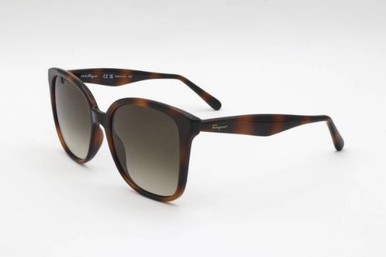 Picture of Ferragamo Sunglasses SF1072S