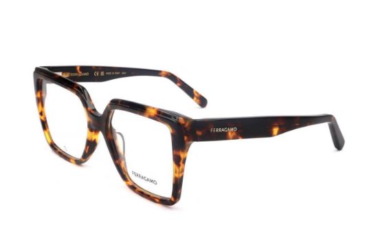 Picture of Ferragamo Eyeglasses SF2950N