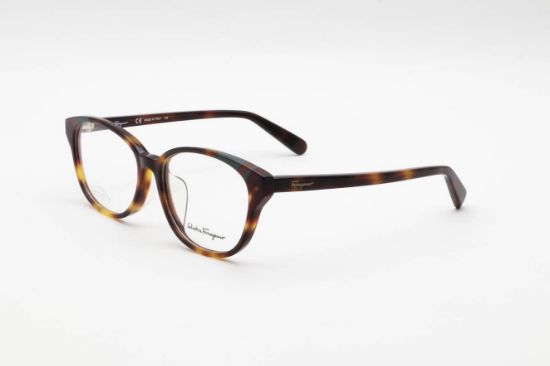 Picture of Ferragamo Eyeglasses SF2809A