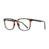 Picture of Stylewise Eyeglasses SW236