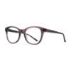 Picture of Equinox Eyeglasses EQ331