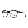 Picture of Equinox Eyeglasses EQ331