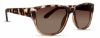 Picture of INVU Sunglasses INVU-108