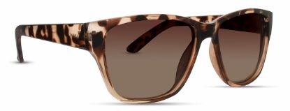 Picture of INVU Sunglasses INVU-108