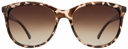Picture of INVU Sunglasses INVU-168