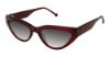 Picture of Otp Sunglasses 2046