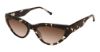 Picture of Otp Sunglasses 2046