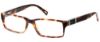 Picture of Gant Eyeglasses G NASH