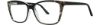Picture of Modern Plastics II Eyeglasses Notice