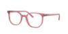 Picture of Ray Ban Eyeglasses RX5397