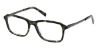 Picture of Abercrombie & Fitch Eyeglasses AF50043