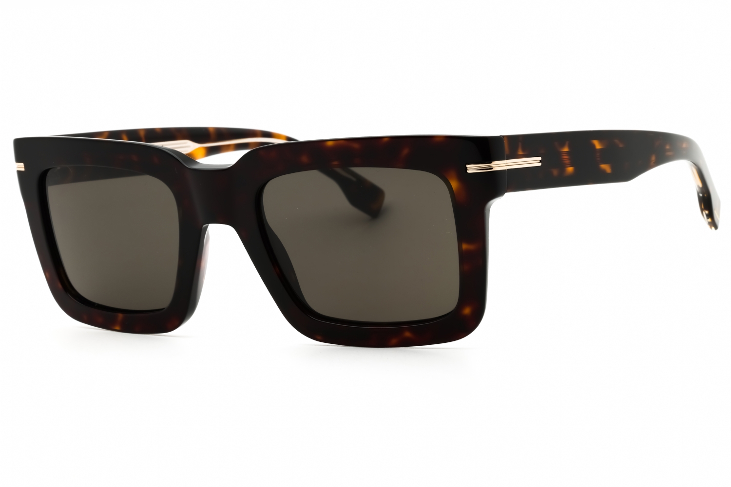 Picture of Hugo Boss Sunglasses BOSS 1501/S